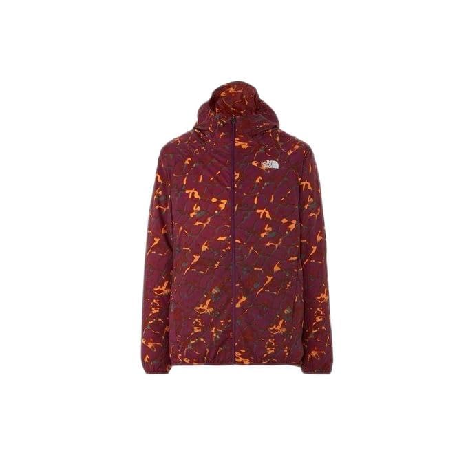 The North Face Novelty Swallowtail Vent Hoodie, Men's, Water